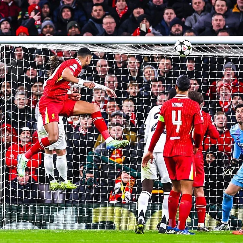 京东平台规则处罚